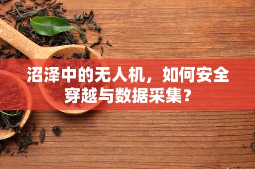 沼泽中的无人机，如何安全穿越与数据采集？
