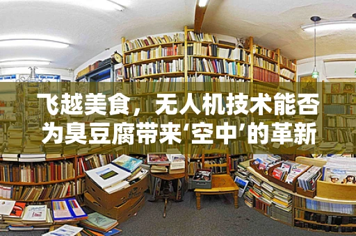 飞越美食，无人机技术能否为臭豆腐带来‘空中’的革新？