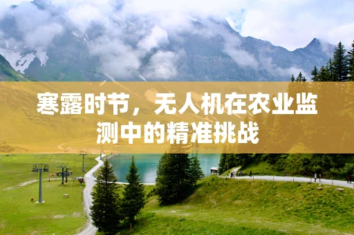 寒露时节，无人机在农业监测中的精准挑战