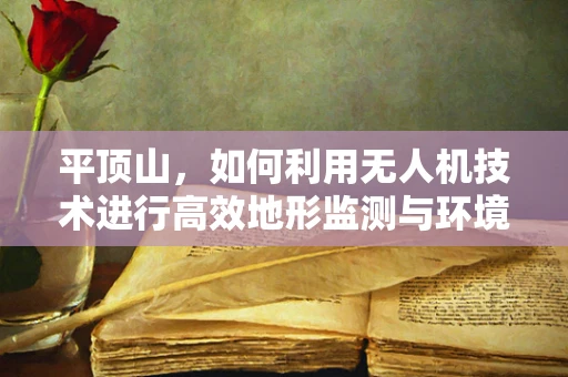 平顶山，如何利用无人机技术进行高效地形监测与环境保护？