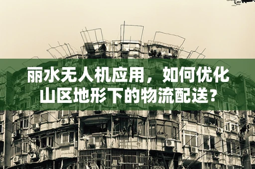 丽水无人机应用，如何优化山区地形下的物流配送？