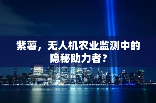 紫薯，无人机农业监测中的隐秘助力者？