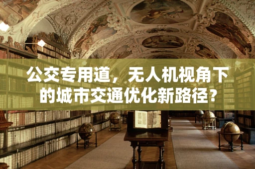 公交专用道，无人机视角下的城市交通优化新路径？