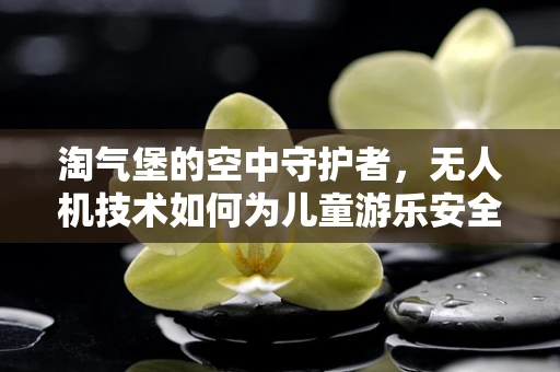 淘气堡的空中守护者，无人机技术如何为儿童游乐安全保驾护航？