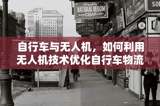 自行车与无人机，如何利用无人机技术优化自行车物流与配送？