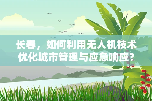 长春，如何利用无人机技术优化城市管理与应急响应？