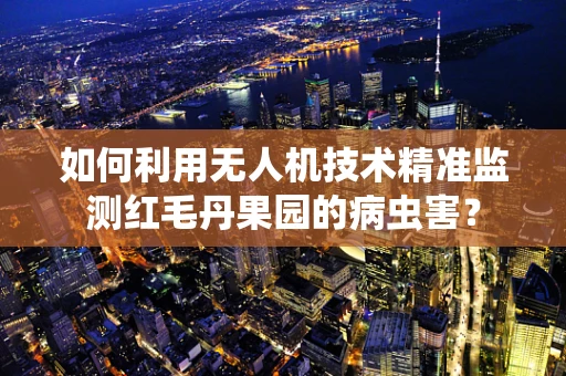 如何利用无人机技术精准监测红毛丹果园的病虫害？