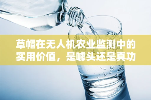 草帽在无人机农业监测中的实用价值，是噱头还是真功夫？