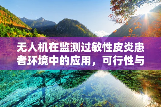 无人机在监测过敏性皮炎患者环境中的应用，可行性与挑战