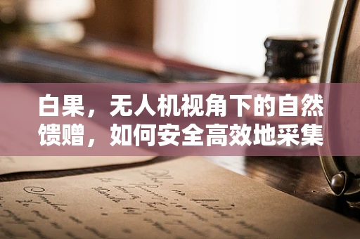 白果，无人机视角下的自然馈赠，如何安全高效地采集与利用？
