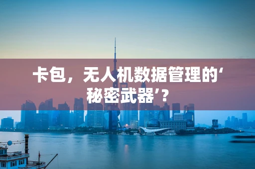 卡包，无人机数据管理的‘秘密武器’？
