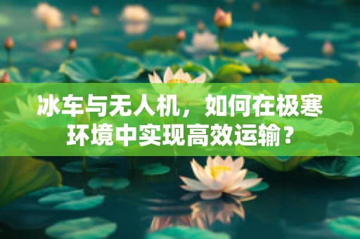冰车与无人机，如何在极寒环境中实现高效运输？