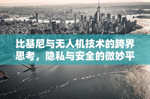 比基尼与无人机技术的跨界思考，隐私与安全的微妙平衡