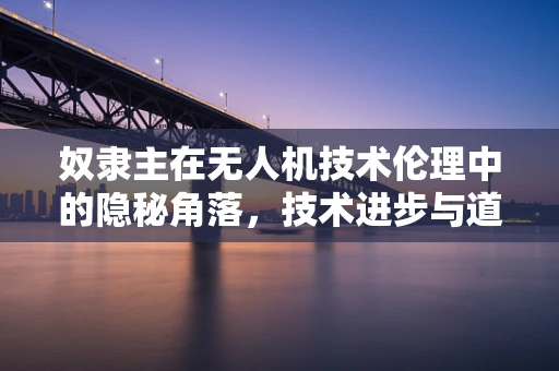 奴隶主在无人机技术伦理中的隐秘角落，技术进步与道德责任的平衡