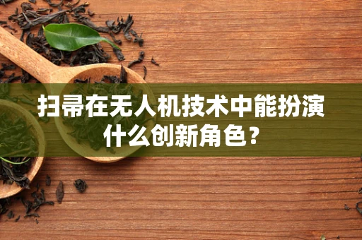扫帚在无人机技术中能扮演什么创新角色？