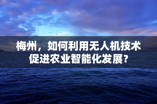 梅州，如何利用无人机技术促进农业智能化发展？