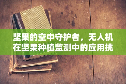 坚果的空中守护者，无人机在坚果种植监测中的应用挑战？