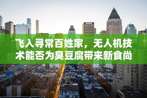 飞入寻常百姓家，无人机技术能否为臭豆腐带来新食尚？