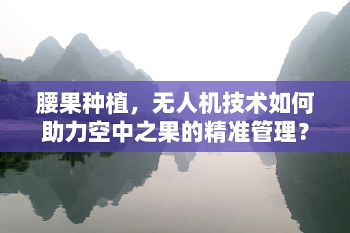 腰果种植，无人机技术如何助力空中之果的精准管理？