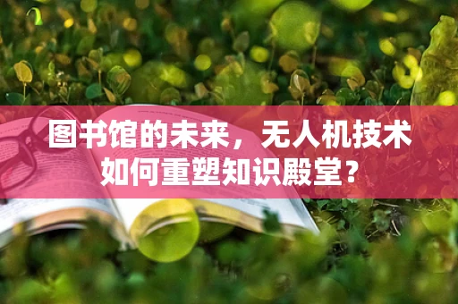 图书馆的未来，无人机技术如何重塑知识殿堂？