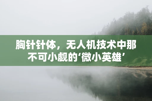 胸针针体，无人机技术中那不可小觑的‘微小英雄’