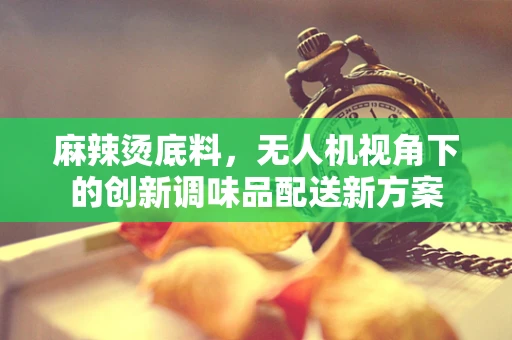 麻辣烫底料，无人机视角下的创新调味品配送新方案
