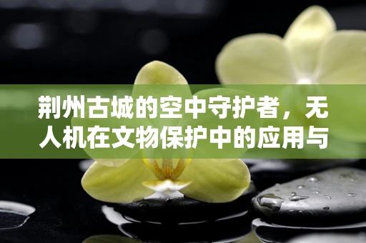 荆州古城的空中守护者，无人机在文物保护中的应用与挑战