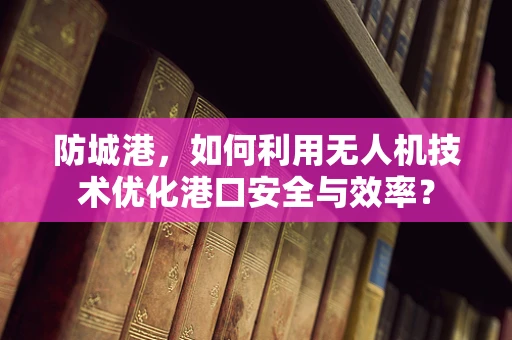 防城港，如何利用无人机技术优化港口安全与效率？