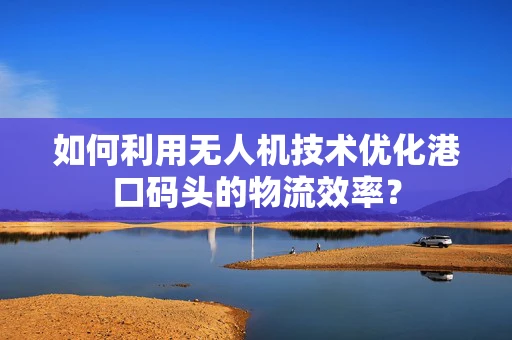 如何利用无人机技术优化港口码头的物流效率？