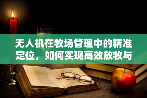 无人机在牧场管理中的精准定位，如何实现高效放牧与资源优化？