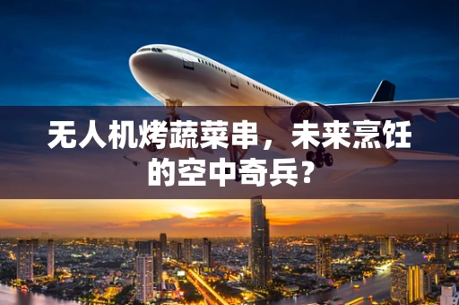 无人机烤蔬菜串，未来烹饪的空中奇兵？