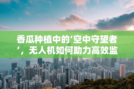 香瓜种植中的‘空中守望者’，无人机如何助力高效监测？