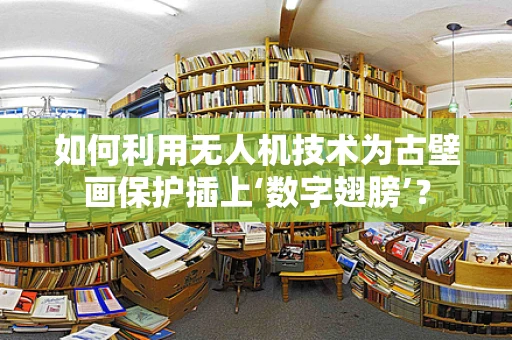 如何利用无人机技术为古壁画保护插上‘数字翅膀’？