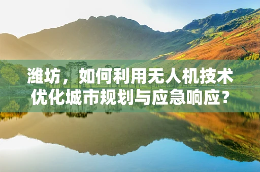 潍坊，如何利用无人机技术优化城市规划与应急响应？