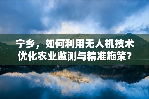 宁乡，如何利用无人机技术优化农业监测与精准施策？