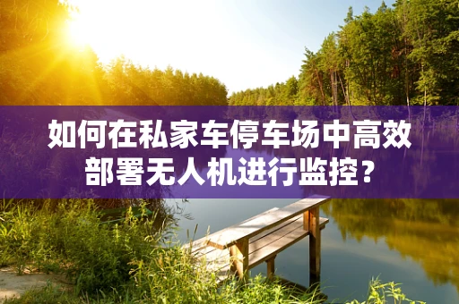 如何在私家车停车场中高效部署无人机进行监控？