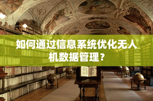 如何通过信息系统优化无人机数据管理？