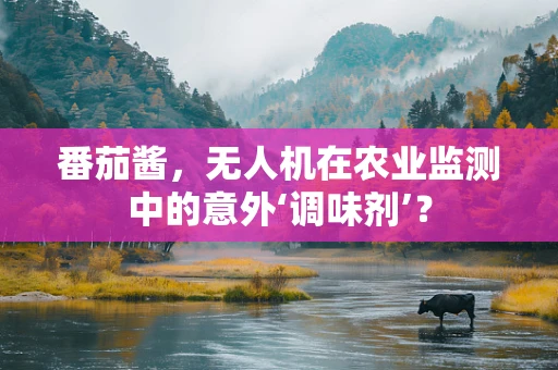 番茄酱，无人机在农业监测中的意外‘调味剂’？