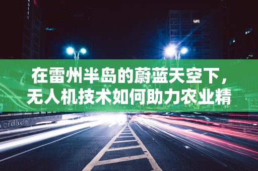 在雷州半岛的蔚蓝天空下，无人机技术如何助力农业精准施策？