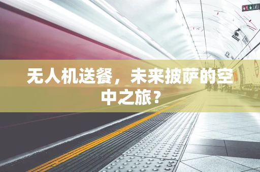 无人机送餐，未来披萨的空中之旅？