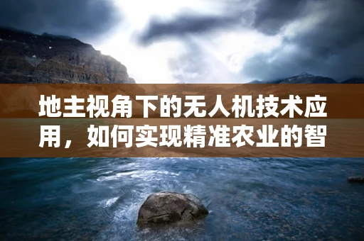 地主视角下的无人机技术应用，如何实现精准农业的智慧管理？