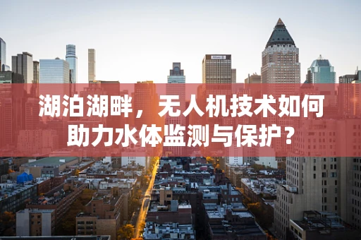 湖泊湖畔，无人机技术如何助力水体监测与保护？