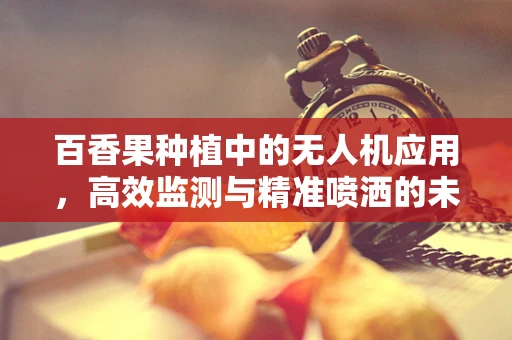 百香果种植中的无人机应用，高效监测与精准喷洒的未来趋势？