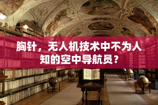 胸针，无人机技术中不为人知的空中导航员？