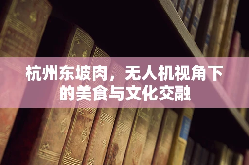 杭州东坡肉，无人机视角下的美食与文化交融