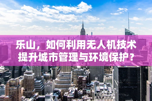 乐山，如何利用无人机技术提升城市管理与环境保护？