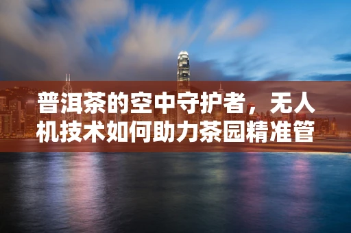 普洱茶的空中守护者，无人机技术如何助力茶园精准管理？