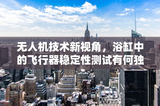 无人机技术新视角，浴缸中的飞行器稳定性测试有何独特之处？