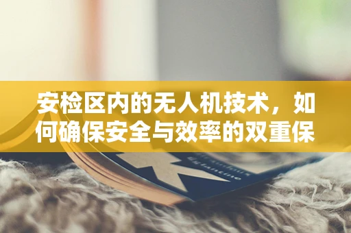 安检区内的无人机技术，如何确保安全与效率的双重保障？