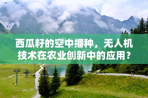西瓜籽的空中播种，无人机技术在农业创新中的应用？